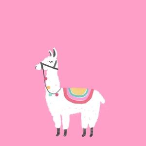 Meet your Posher, Brooklyn